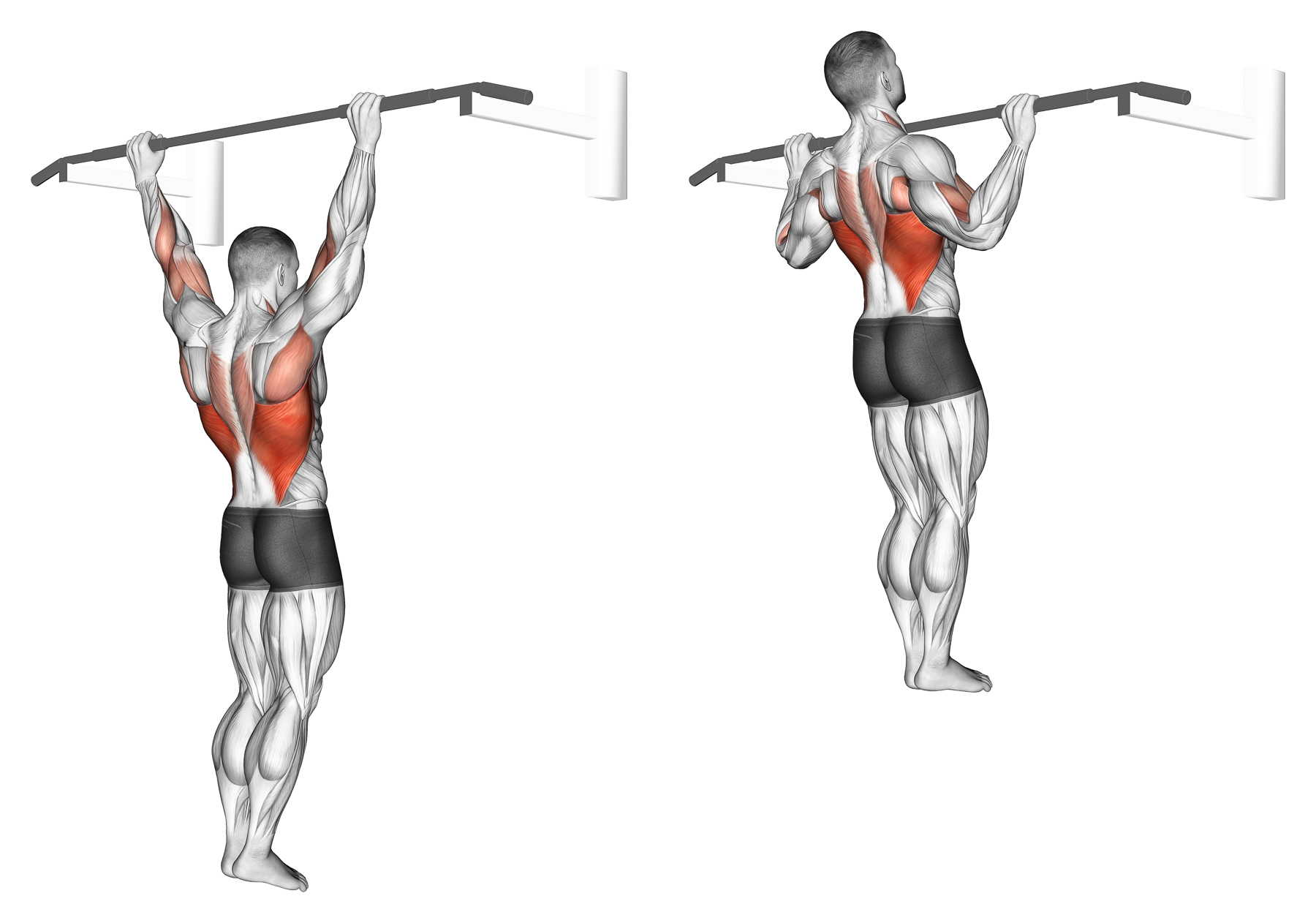 How to Perform Pull-Ups and Chin-Ups