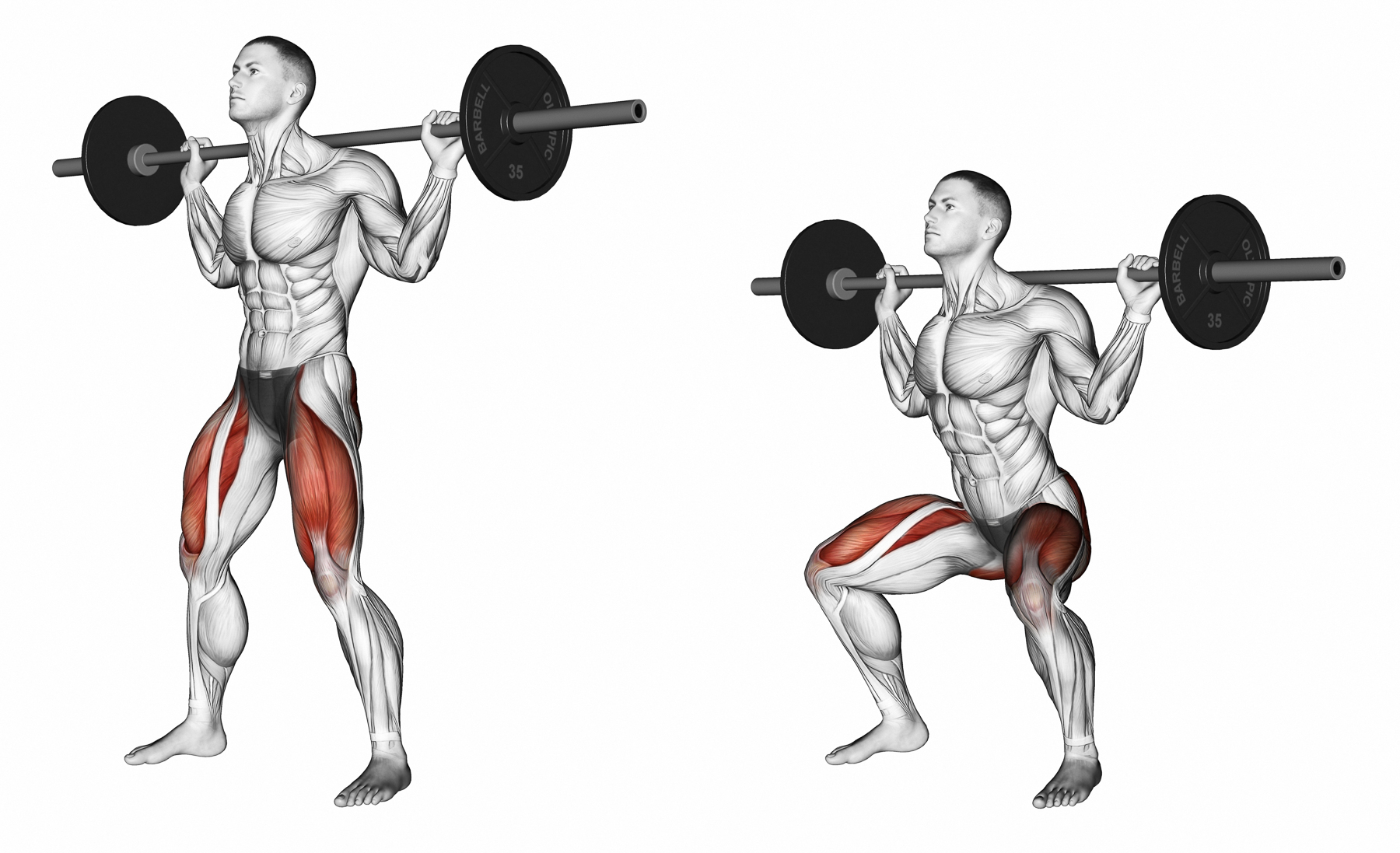 How to Perform a Squat