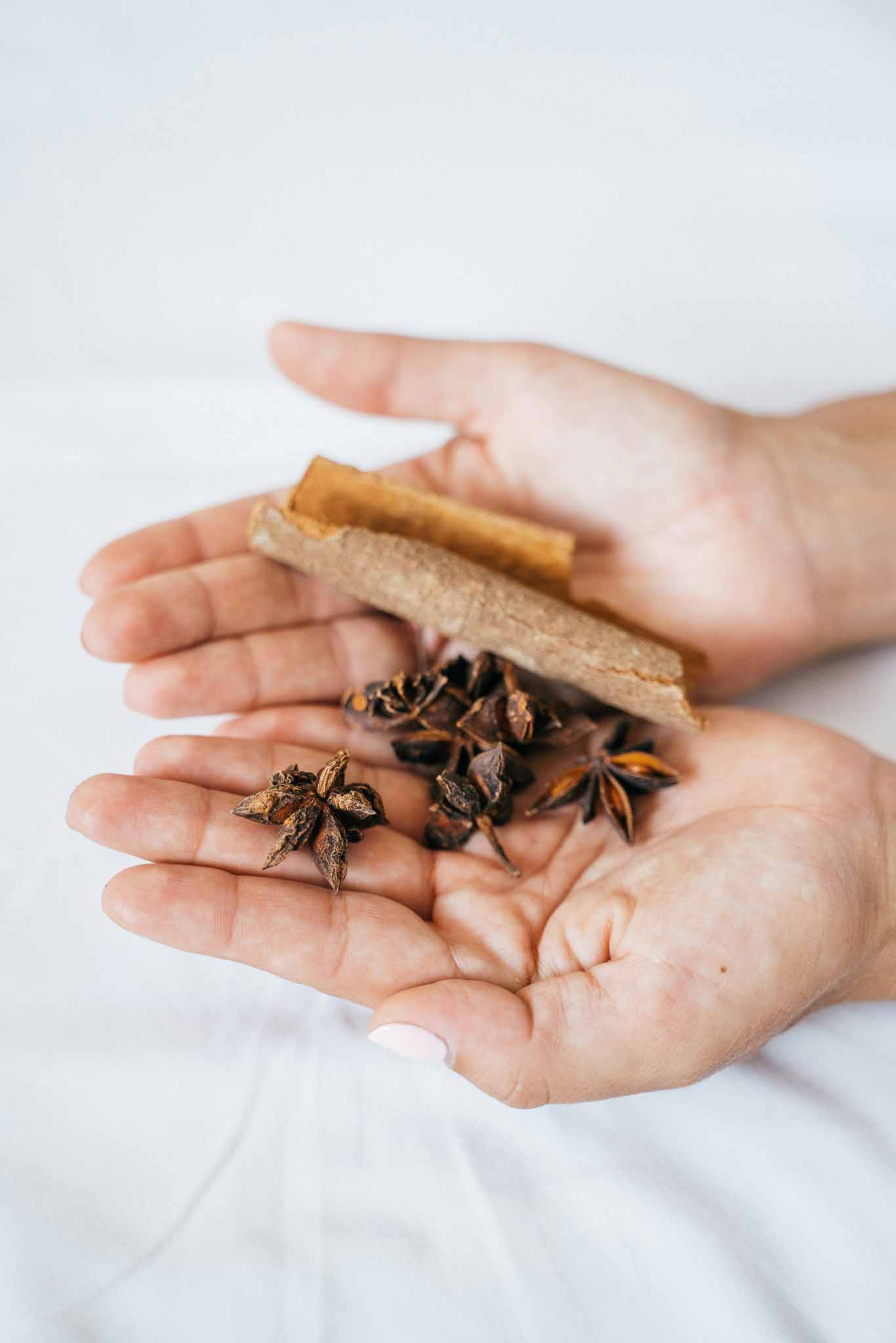 Star anise and cinnamon sticks arranged on a white background.
